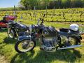 0517_08_PipSarsersBike.jpg