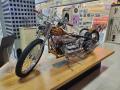 0802_32_GoldwingAncestor.jpg