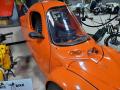 0802_44_CorbinSparrow.jpg